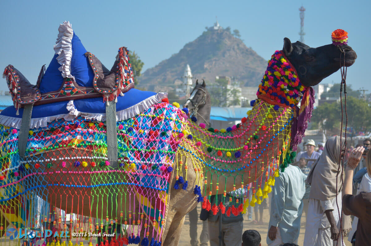 50 Colorful Photos From The Pushkar Camel Fair | The HoliDaze